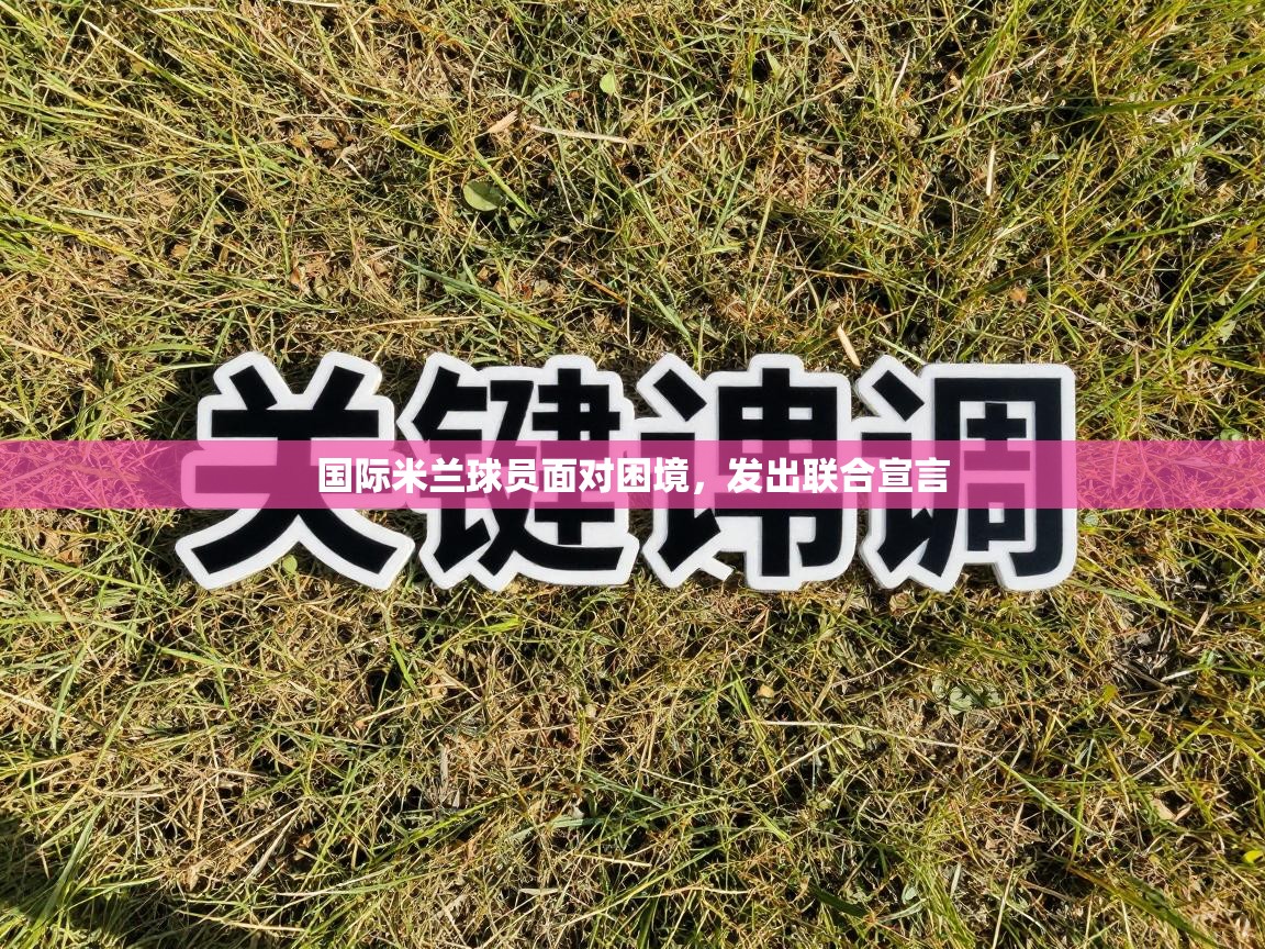 国际米兰球员面对困境，发出联合宣言  第2张